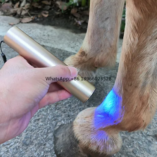 Customized OEM 5 Wavelengths Red Light Torch Near Infrared Red Light Therapy Pen infrared light vet therapy for horses
Customized OEM 5 Wavelengths Red Light Torch Near Infrared Red Light Therapy Pen infrared light vet therapy for horses