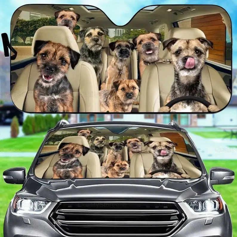 Автомобильный солнцезащитный козырек Border Terrier, семейный козырек для собак, аксессуары для собак, украшение, подарок хозяину собак, ветровое стекло
Автомобильный солнцезащитный козырек Border Terrier, семейный козырек для собак, аксессуары для собак, украшение, подарок хозяину собак, ветровое стекло