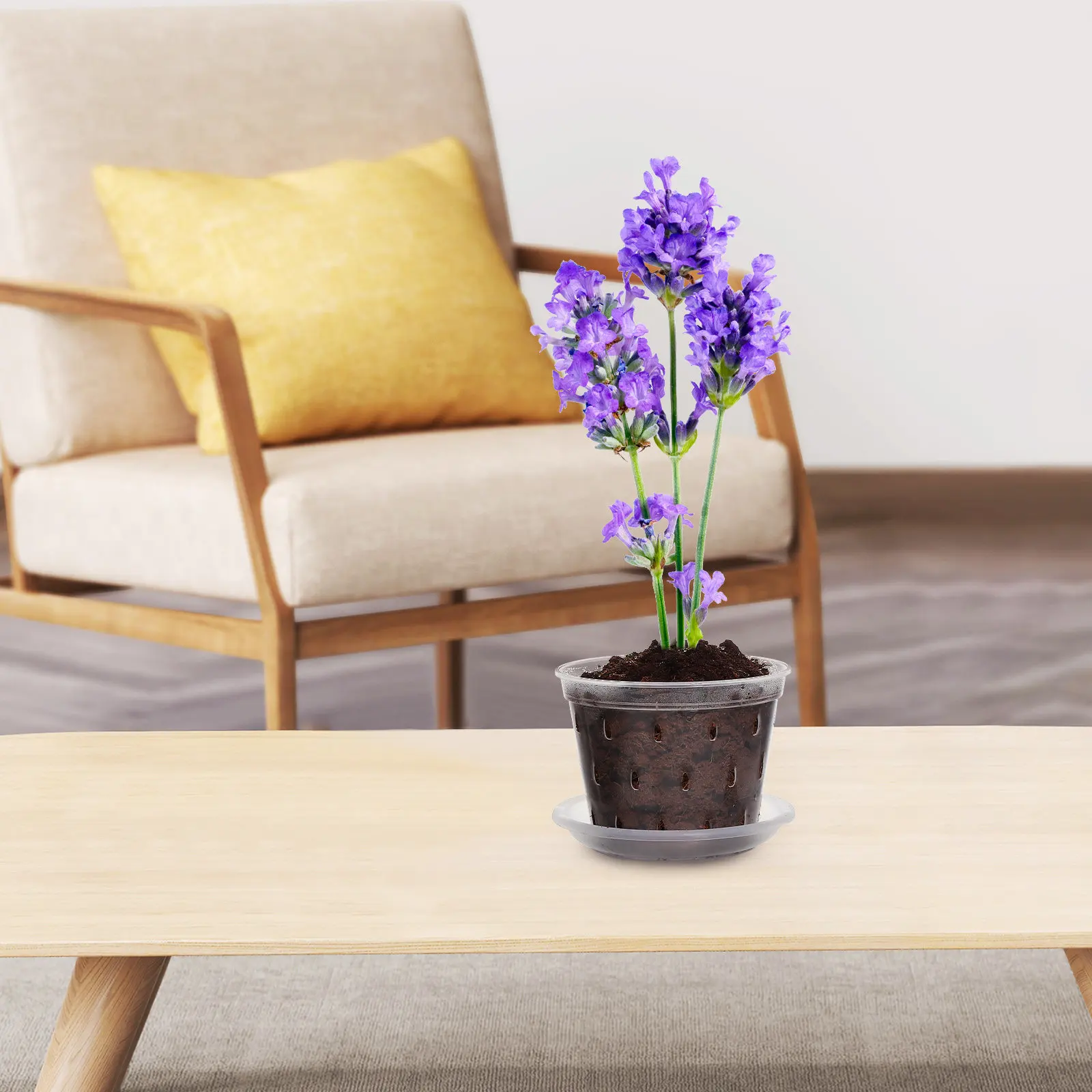 3 прозрачных горшка для орхидей, прозрачные контейнеры для растений с дренажными отверстиями и поддонами, универсальные размеры для орхидей и суккулентов
3 прозрачных горшка для орхидей, прозрачные контейнеры для растений с дренажными отверстиями и поддонами, универсальные размеры для орхидей и суккулентов