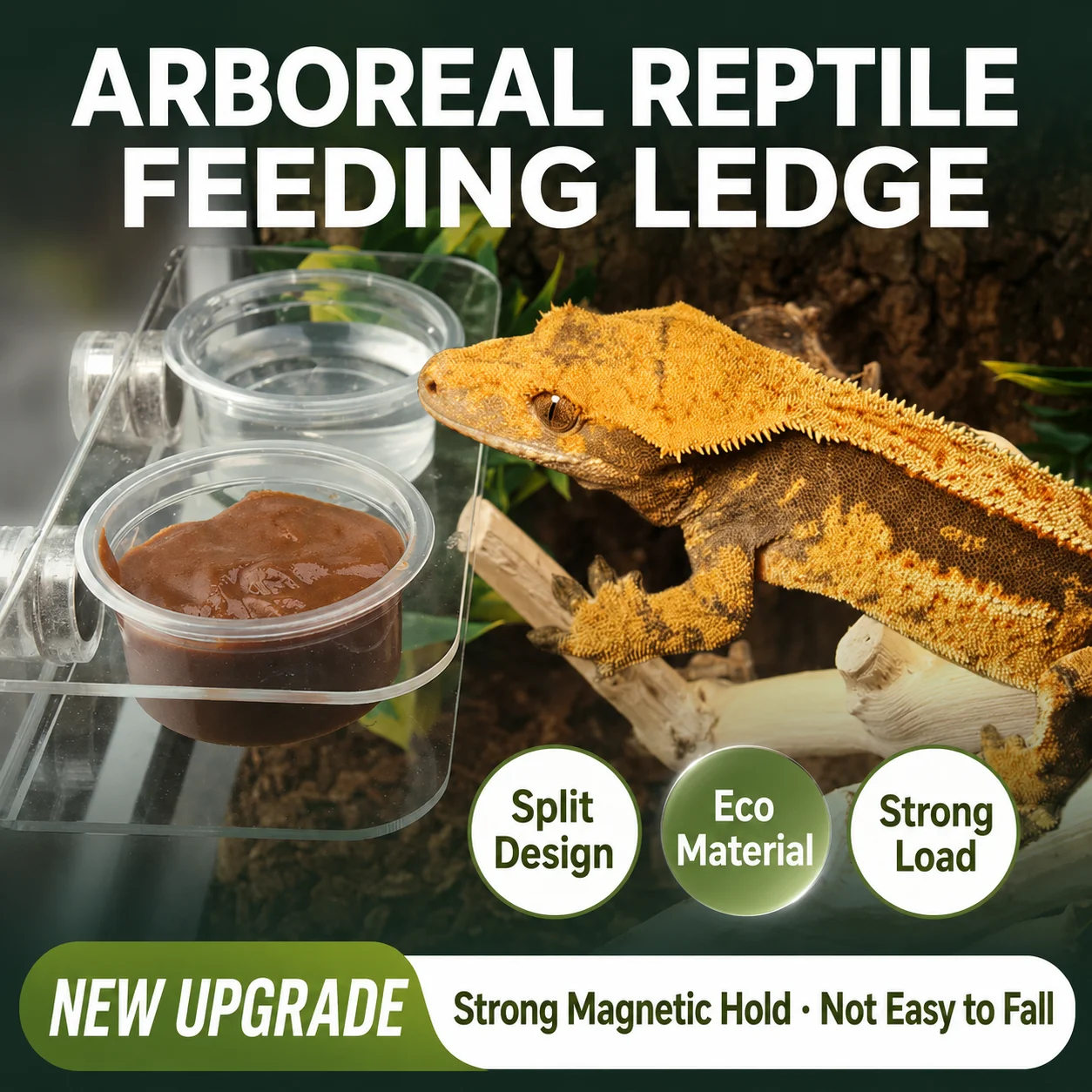 Magnetic Reptile Feeding Ledge Acrylic Single Double Bowl Holder for Crested Gecko Lizard Terrarium
Magnetic Reptile Feeding Ledge Acrylic Single Double Bowl Holder for Crested Gecko Lizard Terrarium