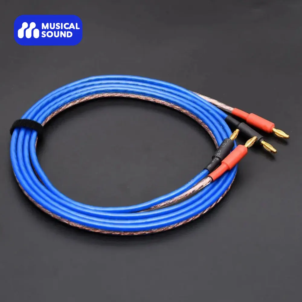 Musical Sound Speaker Cable Wire with Gold-Plated Banana Plugs Dual Male to Male Pure Copper Amplifier Speaker Wire Cable
Musical Sound Speaker Cable Wire with Gold-Plated Banana Plugs Dual Male to Male Pure Copper Amplifier Speaker Wire Cable