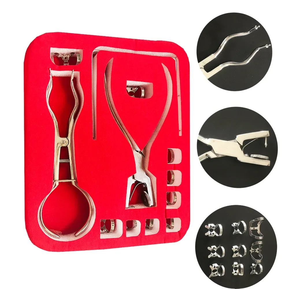 Dental Dam Hole Puncher Set Puncher Pliers for Dentist Dental Dam Perforator Dental Rubber Dam Puncher Orthodontic Tools
Dental Dam Hole Puncher Set Puncher Pliers for Dentist Dental Dam Perforator Dental Rubber Dam Puncher Orthodontic Tools