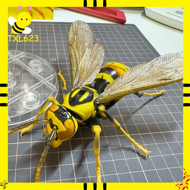 Bandai Genuine Biology Series Insect Figure,Lifelike Wasp Hornet & Bulldog Ant Model,High Simulation PVC Collectible Toy for Edu
Bandai Genuine Biology Series Insect Figure,Lifelike Wasp Hornet & Bulldog Ant Model,High Simulation PVC Collectible Toy for Edu