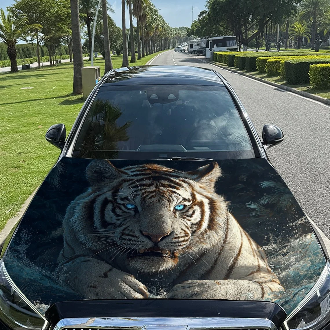 Vivid tiger graphic on car hood, featuring striking blue eyes and detailed stripes. Perfect for a bold, eye-catching vehicle wra
Vivid tiger graphic on car hood, featuring striking blue eyes and detailed stripes. Perfect for a bold, eye-catching vehicle wra