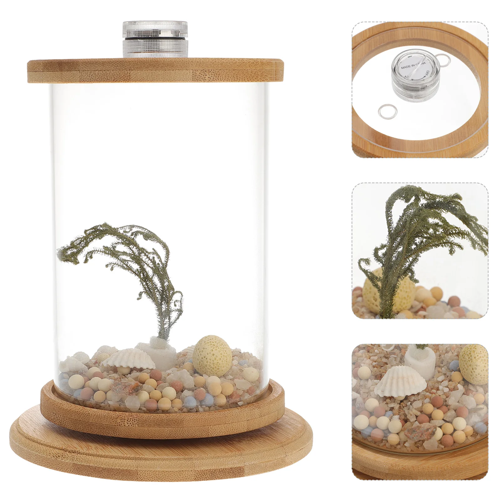 Micro L scape Aquarium Tank Decorative Fish Bowl for Home Office Indoor Outdoor Use Creative Household Accessory Gift Idea Eco
Micro L scape Aquarium Tank Decorative Fish Bowl for Home Office Indoor Outdoor Use Creative Household Accessory Gift Idea Eco