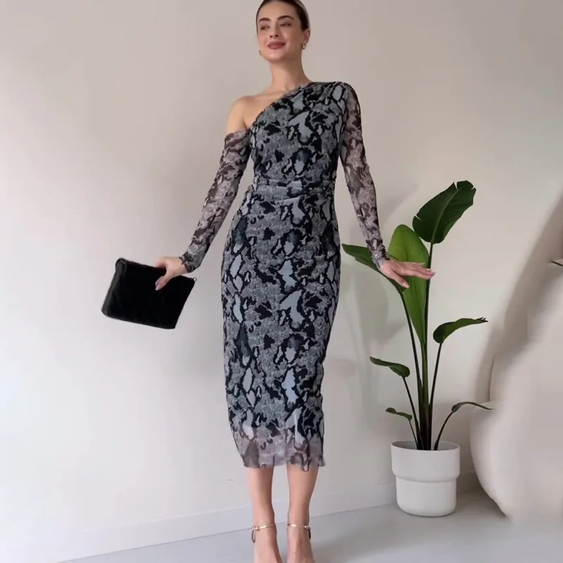 Sexy Leopard Snake Print Maxi Dress Women's 2025 Autumn New Unique Design Off Shoulder Slim Evening Dress Ideal For Date Nights
Sexy Leopard Snake Print Maxi Dress Women's 2025 Autumn New Unique Design Off Shoulder Slim Evening Dress Ideal For Date Nights