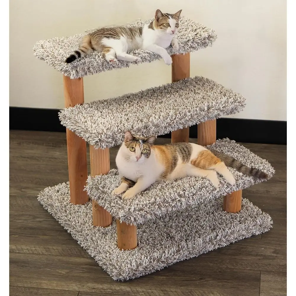 Natural Wooden Staircases and Gray-Spotted Cats & Dogs
Natural Wooden Staircases and Gray-Spotted Cats & Dogs