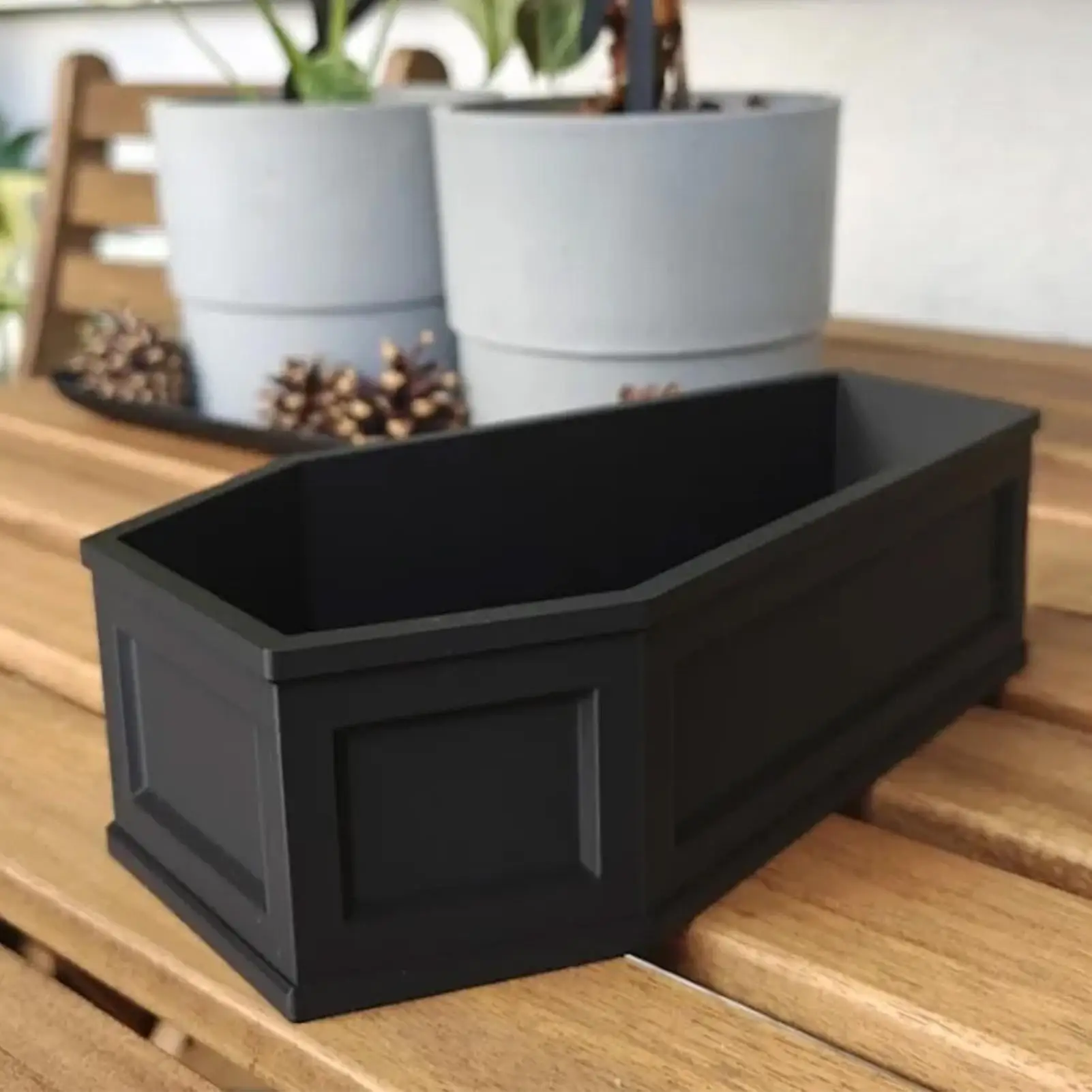 Готический кашпо, жуткий горшок для гроба, комнатный контейнер для кашпо, украшения на Хэллоуин с дренажным поддоном для домашнего офиса, стола
Готический кашпо, жуткий горшок для гроба, комнатный контейнер для кашпо, украшения на Хэллоуин с дренажным поддоном для домашнего офиса, стола