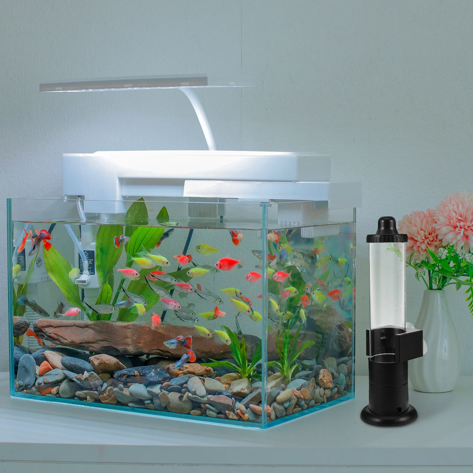 Brine Shrimp Egg Incubator Automatic Plastic Artemia Hatchery Fish Tank Aquarium Shrimp Hatchery Food Cultivation 
Brine Shrimp Egg Incubator Automatic Plastic Artemia Hatchery Fish Tank Aquarium Shrimp Hatchery Food Cultivation