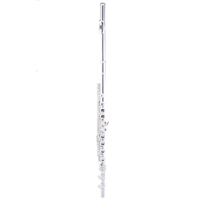High-quality silver-plated flute with 16 closed-key woodwinds, suitable for beginners
High-quality silver-plated flute with 16 closed-key woodwinds, suitable for beginners