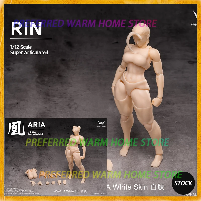 In Stock WHALE WORKS WW01/02 ARIA RIN FEMALE BODY Movable Model Toys 1/12 Super Articulated Cammy White Chun Li
In Stock WHALE WORKS WW01/02 ARIA RIN FEMALE BODY Movable Model Toys 1/12 Super Articulated Cammy White Chun Li