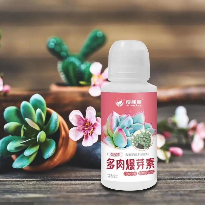 Succulent Food Rooting Stimulator Liquid Fertilizer For Outdoor Plants Moisturizing Nutrition Seedling Nutrient Garden Accessory
Succulent Food Rooting Stimulator Liquid Fertilizer For Outdoor Plants Moisturizing Nutrition Seedling Nutrient Garden Accessory