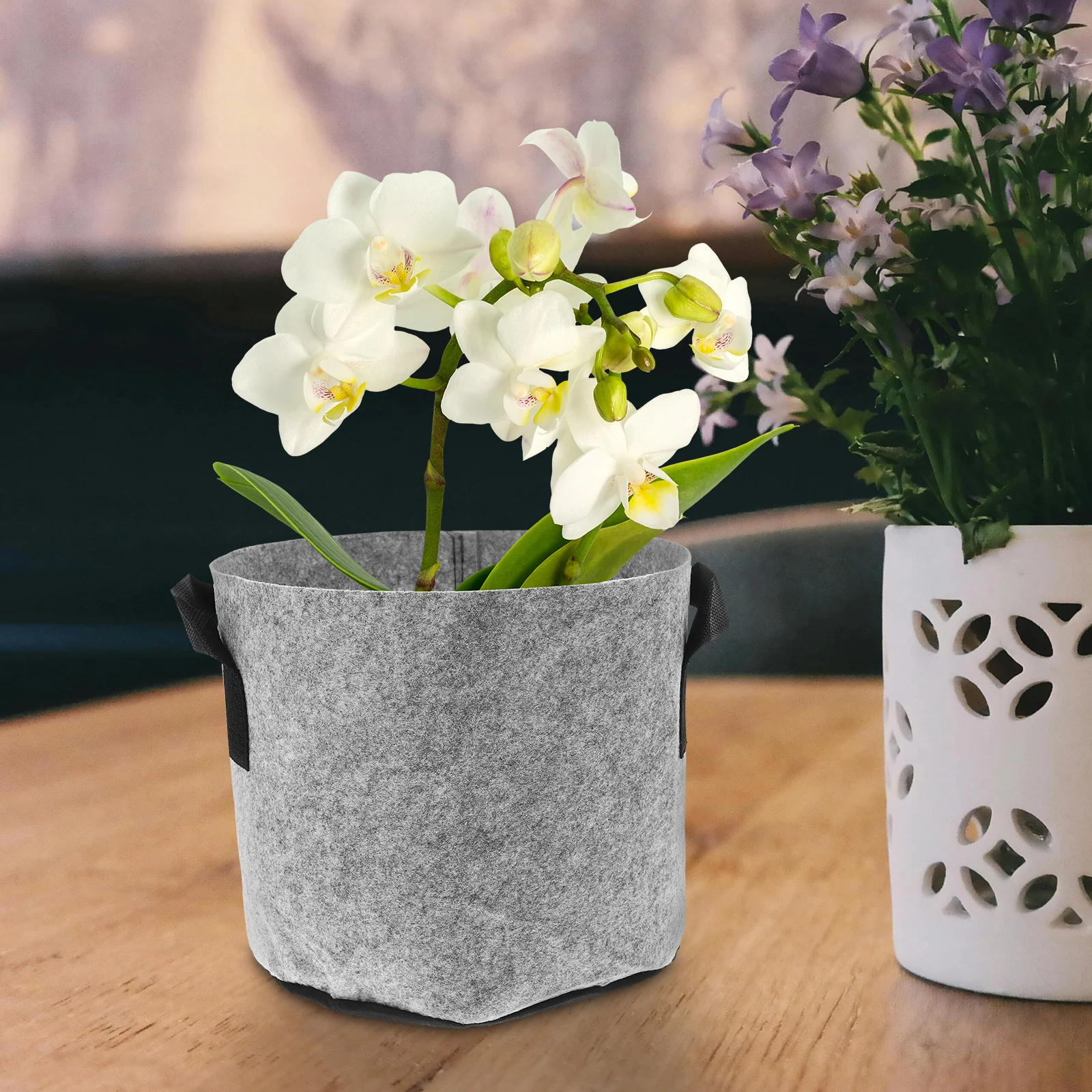 5Pcs 3-Gallon Heavy Duty Felt Planting Bags Thickened Nonwoven Fabric with Double Handles Reusable Grow Bags for Outdoor
5Pcs 3-Gallon Heavy Duty Felt Planting Bags Thickened Nonwoven Fabric with Double Handles Reusable Grow Bags for Outdoor