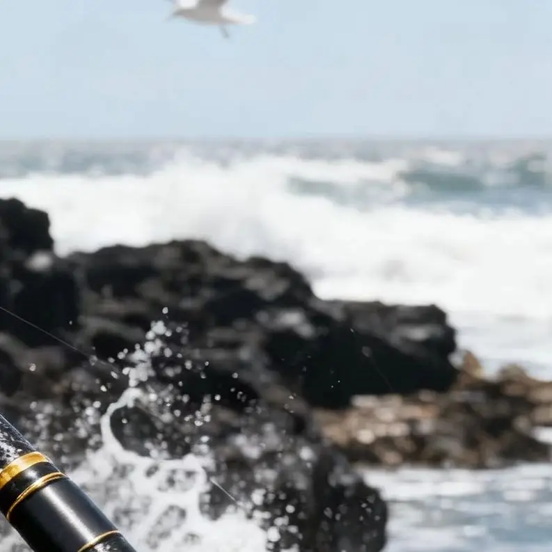 /Portable /Telescopic /Fishing Rod Carbon Lure Pole 1.8m 2.1m 2.4m Hard Tone Sensitive Tip For Sea Boat Fishing Outdoor Sporting
/Portable /Telescopic /Fishing Rod Carbon Lure Pole 1.8m 2.1m 2.4m Hard Tone Sensitive Tip For Sea Boat Fishing Outdoor Sporting