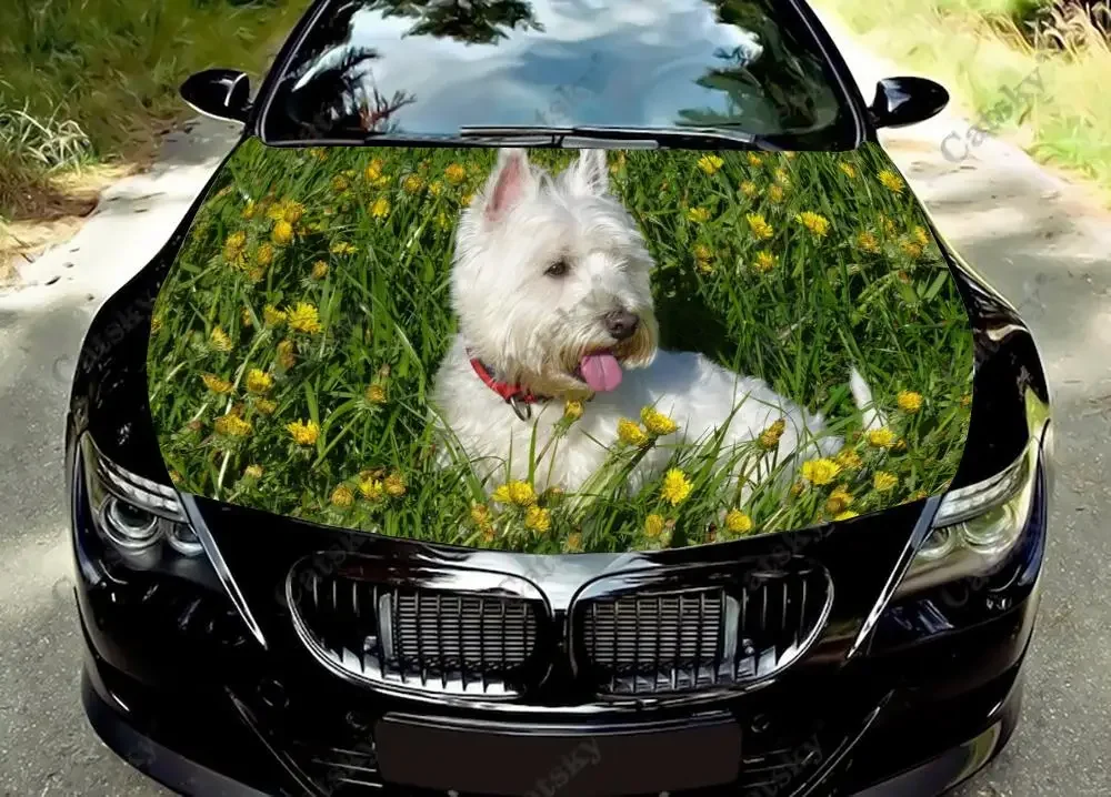 West Highland White Terrier Car hood side sticker vinyl racing paint accessories self adhesive painting for truck suv car decal
West Highland White Terrier Car hood side sticker vinyl racing paint accessories self adhesive painting for truck suv car decal