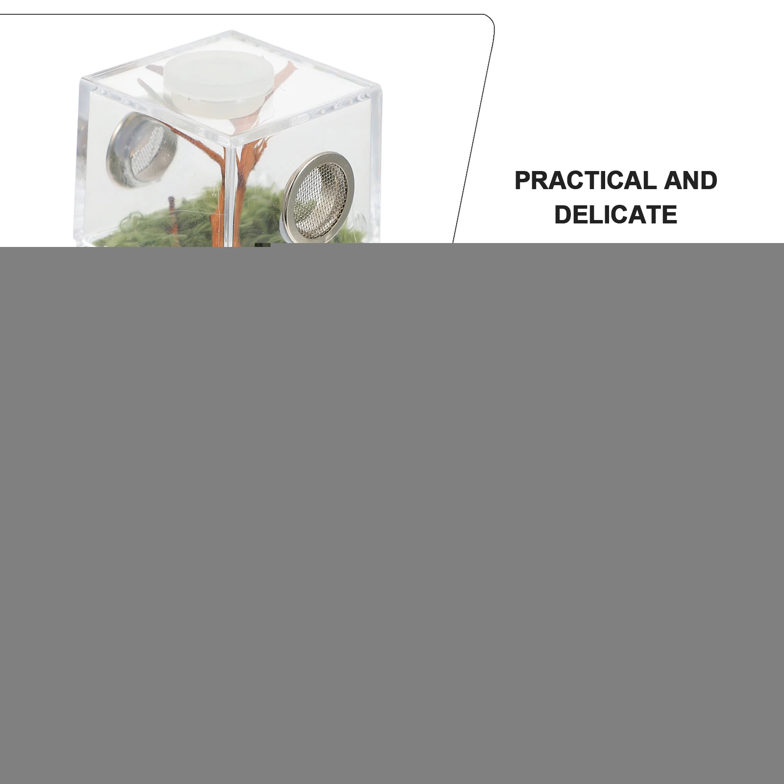 Spider Living Habitat Jumping Breeding Box Cages and Habitats Small Enclosure Acrylic
Spider Living Habitat Jumping Breeding Box Cages and Habitats Small Enclosure Acrylic