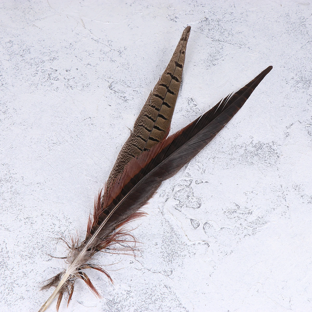 12pcs Natural Pheasant Tail Decorative for Craft Art Performance Costume Party Home Decoration
12pcs Natural Pheasant Tail Decorative for Craft Art Performance Costume Party Home Decoration