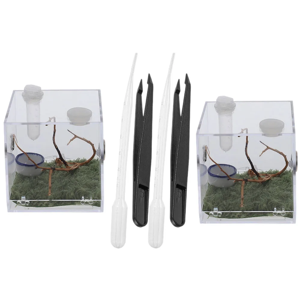 2 set Reptile Breeding Box Transparent Acrylic Jumping Spider Enclosure Insect Habitat Cage Sturdy Clear Storage for Spiders
2 set Reptile Breeding Box Transparent Acrylic Jumping Spider Enclosure Insect Habitat Cage Sturdy Clear Storage for Spiders