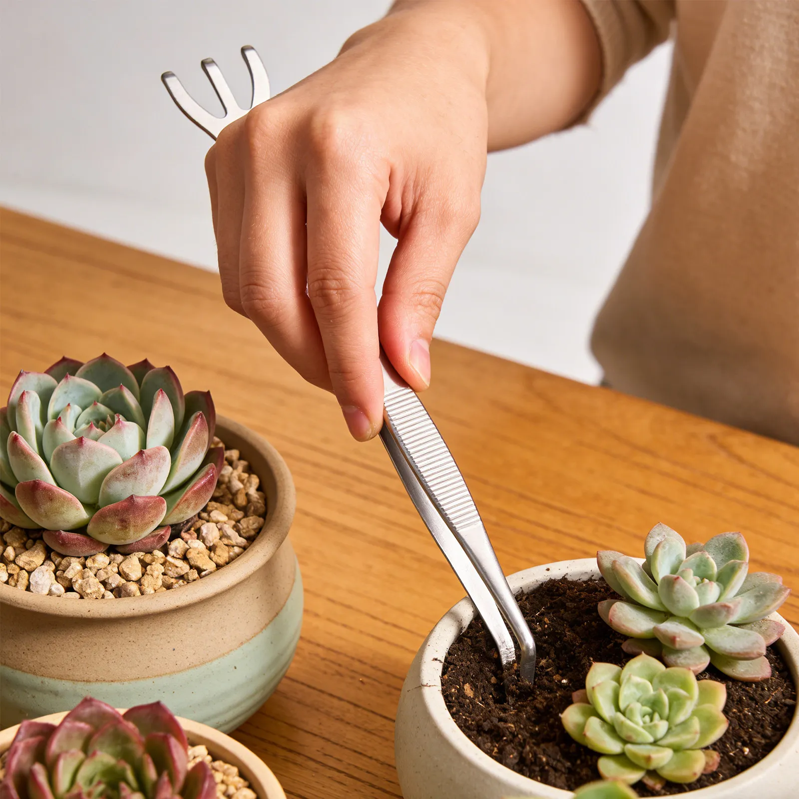 Stainless Steel Bonsai Root Rake Tweezer 2 in 1 Hand Garden Tool Manual Cultivator Small Soil Loosening Rake for Bonsai Tree
Stainless Steel Bonsai Root Rake Tweezer 2 in 1 Hand Garden Tool Manual Cultivator Small Soil Loosening Rake for Bonsai Tree