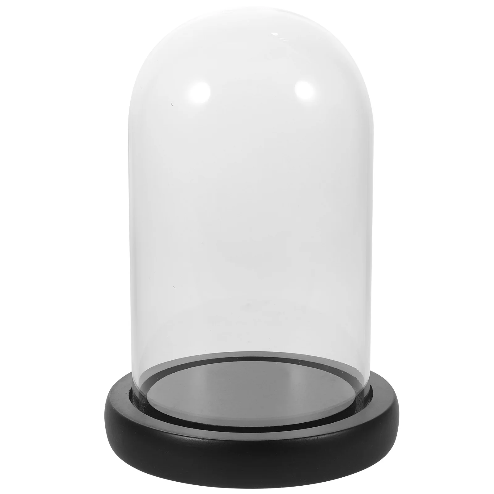 Display 9x15 Black Wood Base Clear Glass Dome for Glass Display Dome Dried Flowers Home Office Plant Storage Bottle
Display 9x15 Black Wood Base Clear Glass Dome for Glass Display Dome Dried Flowers Home Office Plant Storage Bottle