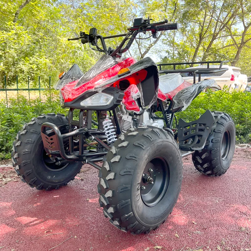 China Adult ATV 4 Wheelers 125cc Automatic Chain Drive 4-Stroke 2WD Quad Bike
China Adult ATV 4 Wheelers 125cc Automatic Chain Drive 4-Stroke 2WD Quad Bike