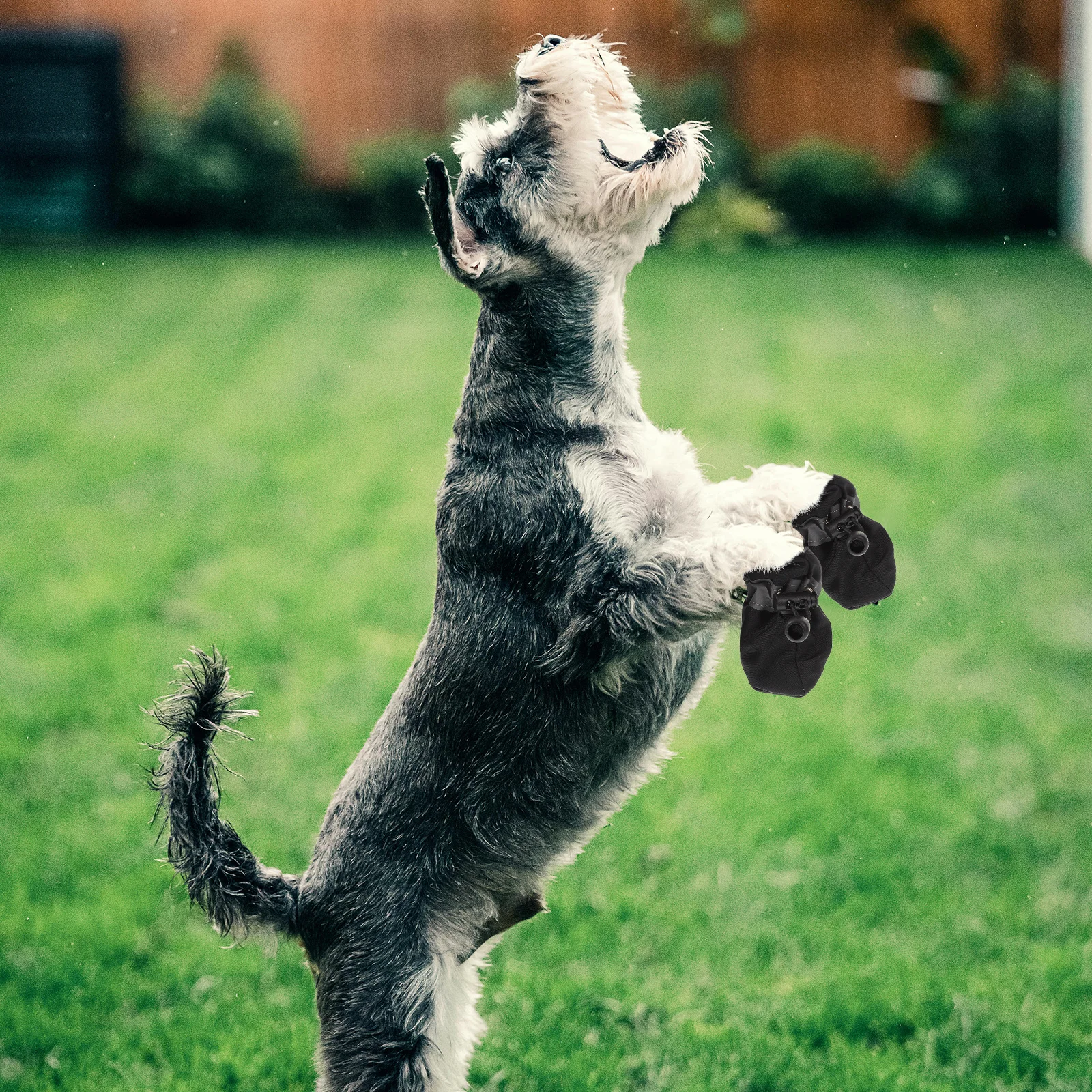 4Pcs Puppy Shoes Anti-Slip Dog Booties for Medium Dogs Warm Lining Winter Indoor Use Protective Non-Slip Pet Foot Covers
4Pcs Puppy Shoes Anti-Slip Dog Booties for Medium Dogs Warm Lining Winter Indoor Use Protective Non-Slip Pet Foot Covers