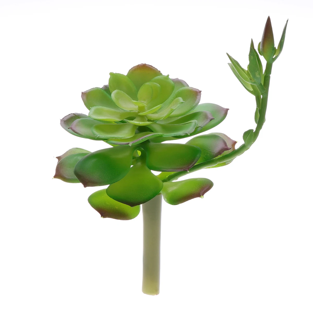Fake Succulent Lifelike Artificial Plants Decorative Green Faux Succulents For Office Bedroom Desktop Balcony Coffee Table
Fake Succulent Lifelike Artificial Plants Decorative Green Faux Succulents For Office Bedroom Desktop Balcony Coffee Table