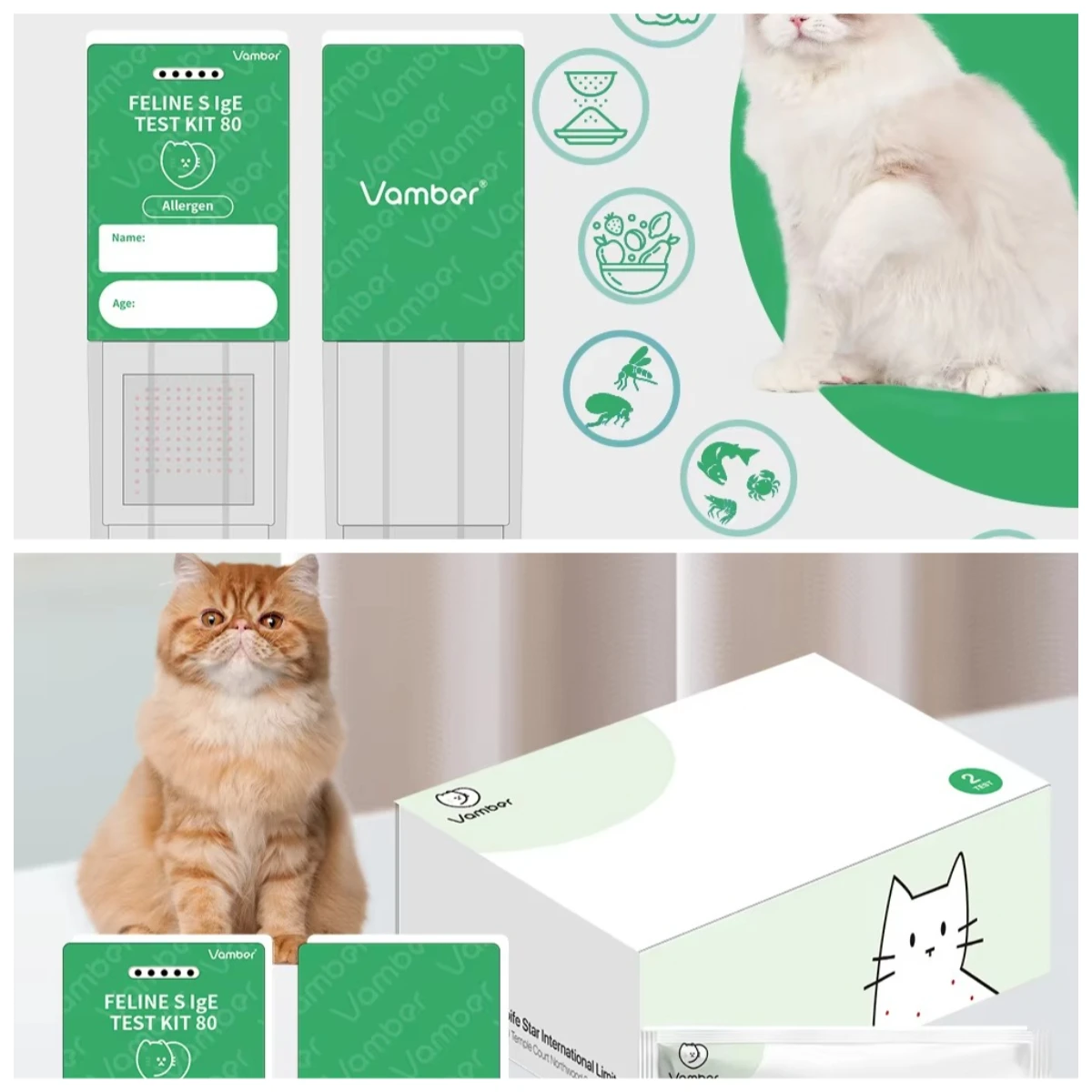pet Specimen Detection Supplies Supports 101 Item Data Single Batch Operation
pet Specimen Detection Supplies Supports 101 Item Data Single Batch Operation