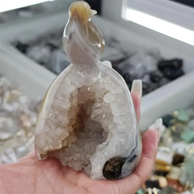 Natural Agate Geode Cluster Bird Carving Crystal Healing Fengshui Gemstones Home Decoration Holiday Gift 1PCS
Natural Agate Geode Cluster Bird Carving Crystal Healing Fengshui Gemstones Home Decoration Holiday Gift 1PCS