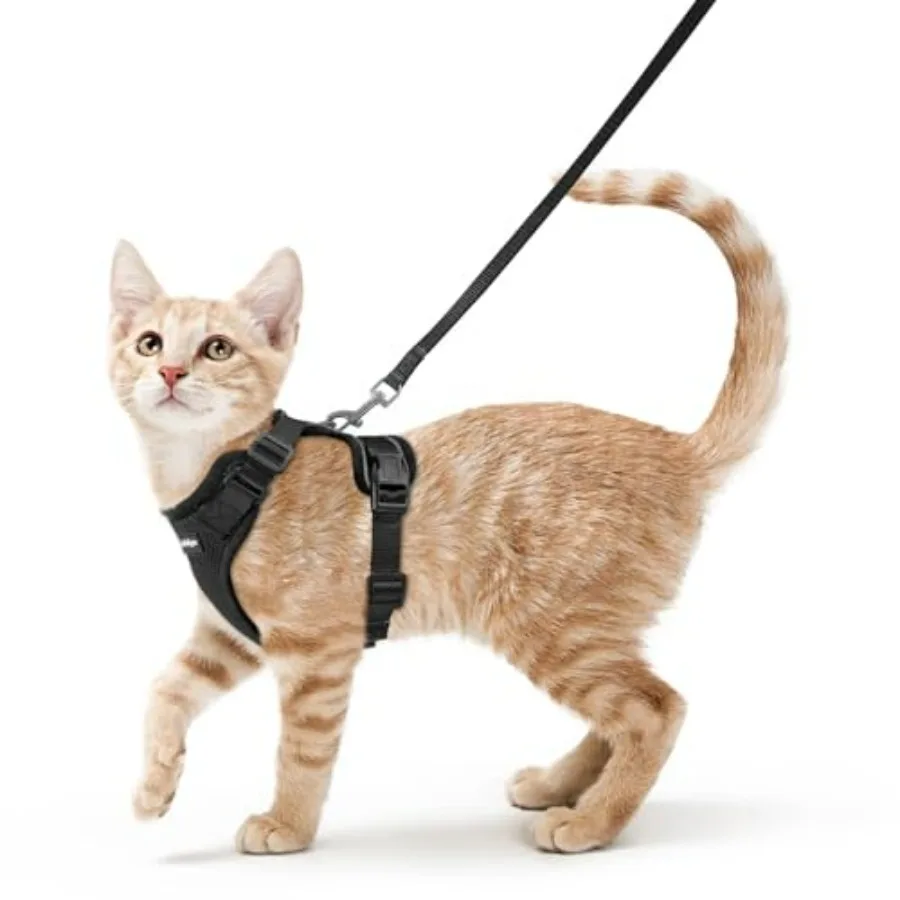 Cat Harne and Leah for Walking, Ecape Proof oft Adjutable Vet Harnee for Cat, Eay Control Breathable Reflective trip Jacket, Bl
Cat Harne and Leah for Walking, Ecape Proof oft Adjutable Vet Harnee for Cat, Eay Control Breathable Reflective trip Jacket, Bl