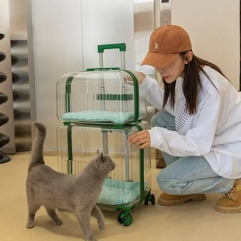 Travel Cat Suitcase Wheels Transport Large Capacity Cat Suitcase Carrier Transparent Strollers Cat Transportation Portable
Travel Cat Suitcase Wheels Transport Large Capacity Cat Suitcase Carrier Transparent Strollers Cat Transportation Portable