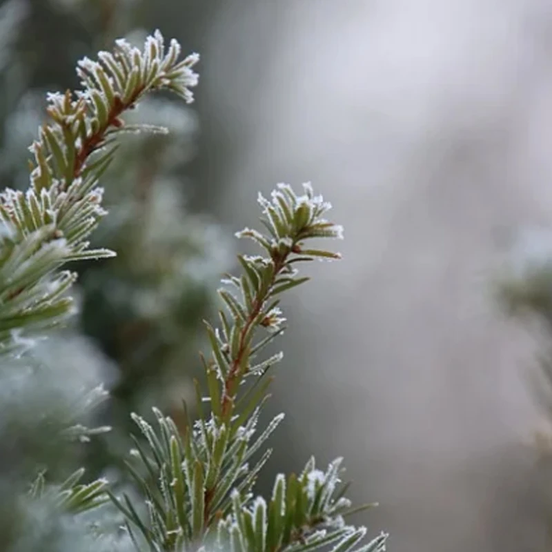 Полетный контроллер DarwinFPV ExpressLRS ELRS AIO F4 FC FPV Bluejay 2.4G с ESC 4-в-1 15A OSD BEC 1-3S для Whoop-дронов (Betaflight)
Полетный контроллер DarwinFPV ExpressLRS ELRS AIO F4 FC FPV Bluejay 2.4G с ESC 4-в-1 15A OSD BEC 1-3S для Whoop-дронов (Betaflight)