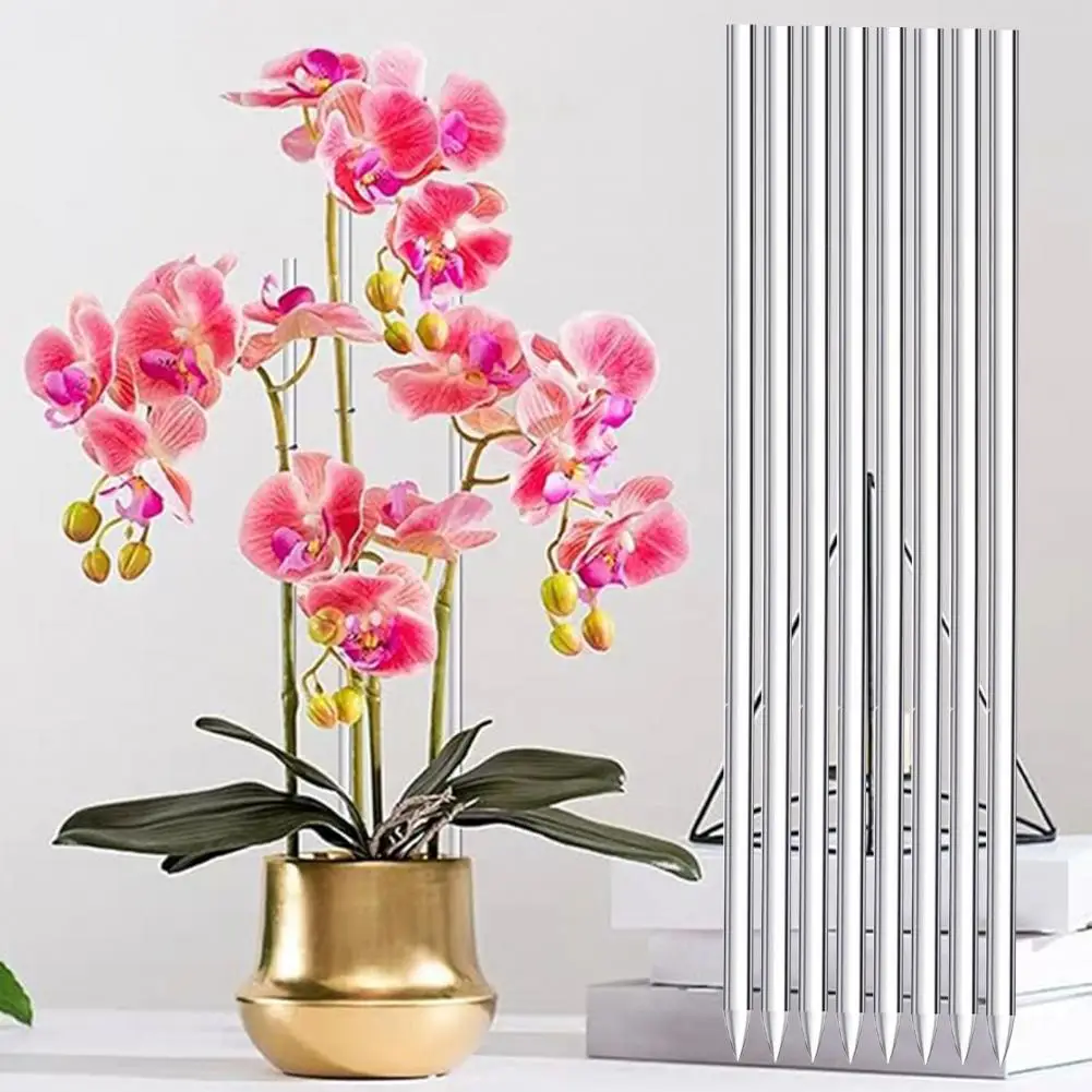16Pcs Plant Stake Durable Reusable Plant Stick Transparent Acrylic Plant Supports for Garden Outdoor
16Pcs Plant Stake Durable Reusable Plant Stick Transparent Acrylic Plant Supports for Garden Outdoor