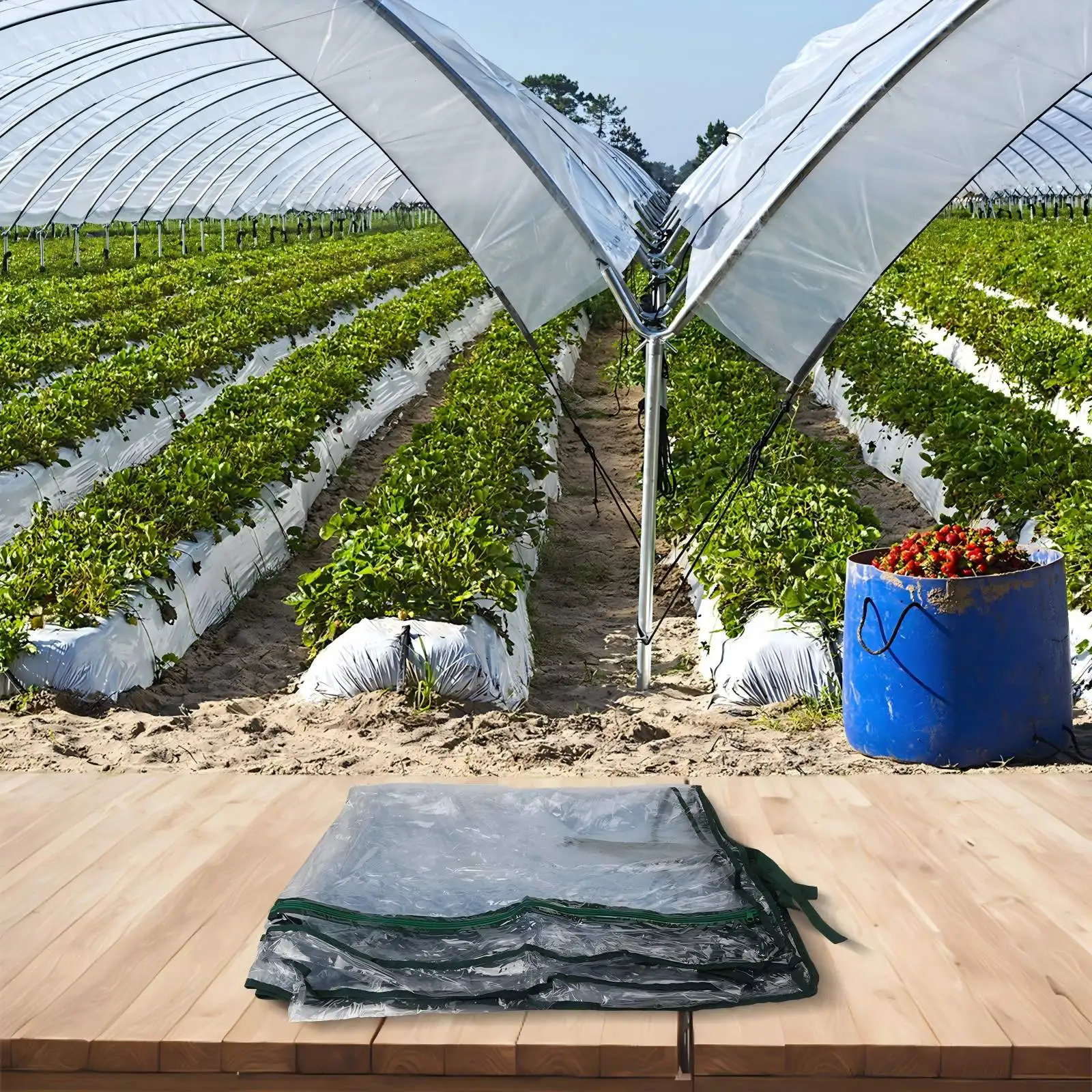 For Home Gardening White With Green Edges Rolling Door PVC Greenhouse For Plant Growth Cover Weather Resistant
For Home Gardening White With Green Edges Rolling Door PVC Greenhouse For Plant Growth Cover Weather Resistant