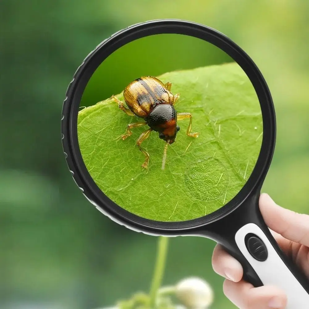 Durable Large Lens Handheld Magnifier 5X 15X Magnifying Glass 4LED Illumination High Brightness Lights White Magnifying Read
Durable Large Lens Handheld Magnifier 5X 15X Magnifying Glass 4LED Illumination High Brightness Lights White Magnifying Read