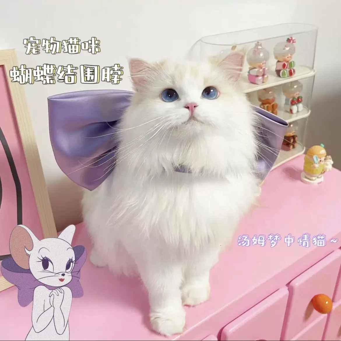 Mary Cat Bow Tie Pet Bow Tie Collar Cat Necklace Decoration Cat Devon Kitten Accessories Pet Supplies
Mary Cat Bow Tie Pet Bow Tie Collar Cat Necklace Decoration Cat Devon Kitten Accessories Pet Supplies