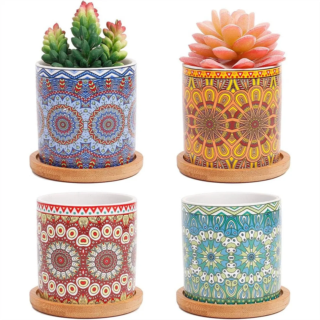 4 Pack Ceramic Succulent Planters with Bamboo Trays, Small Cactus Pots with Drainage Hole for Windowsill Home Decor
4 Pack Ceramic Succulent Planters with Bamboo Trays, Small Cactus Pots with Drainage Hole for Windowsill Home Decor