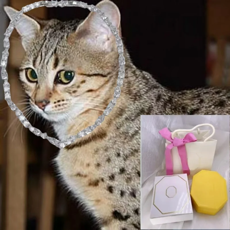 cat Fashionable new Austrian crystal V-shaped high-end evening dress accessories necklace jewelry romantic gift
cat Fashionable new Austrian crystal V-shaped high-end evening dress accessories necklace jewelry romantic gift