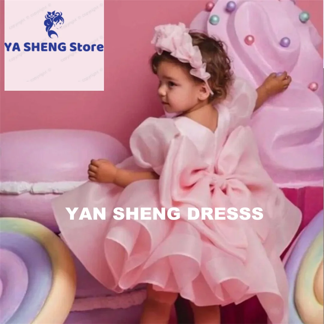 Customized Flower Girl Dress For Wedding Light Pink Short Sleeves With Bow Princess Birthday Party First Communion Ball Gowns
Customized Flower Girl Dress For Wedding Light Pink Short Sleeves With Bow Princess Birthday Party First Communion Ball Gowns