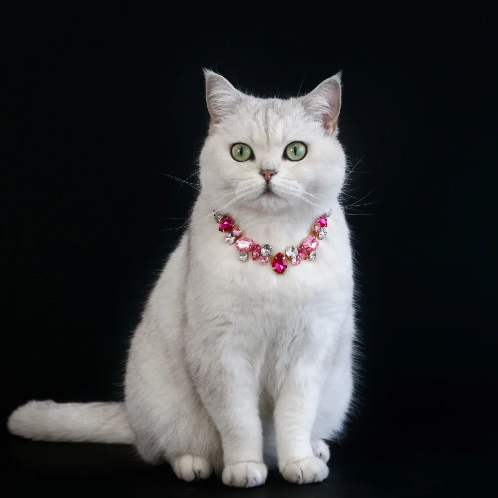Luxury Puppy Crystal Collar Sweet Princess Style Cat Rhinestone Collar Colorful Adjustable Pet Crystal Choker Birthday
Luxury Puppy Crystal Collar Sweet Princess Style Cat Rhinestone Collar Colorful Adjustable Pet Crystal Choker Birthday