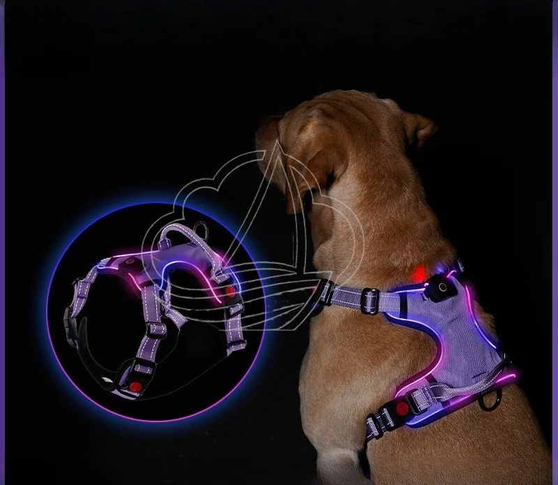 LED Light Up Dog Harness Glowing Pet Vest for Small Medium Large Dogs Night Walking Safety Accessory
LED Light Up Dog Harness Glowing Pet Vest for Small Medium Large Dogs Night Walking Safety Accessory