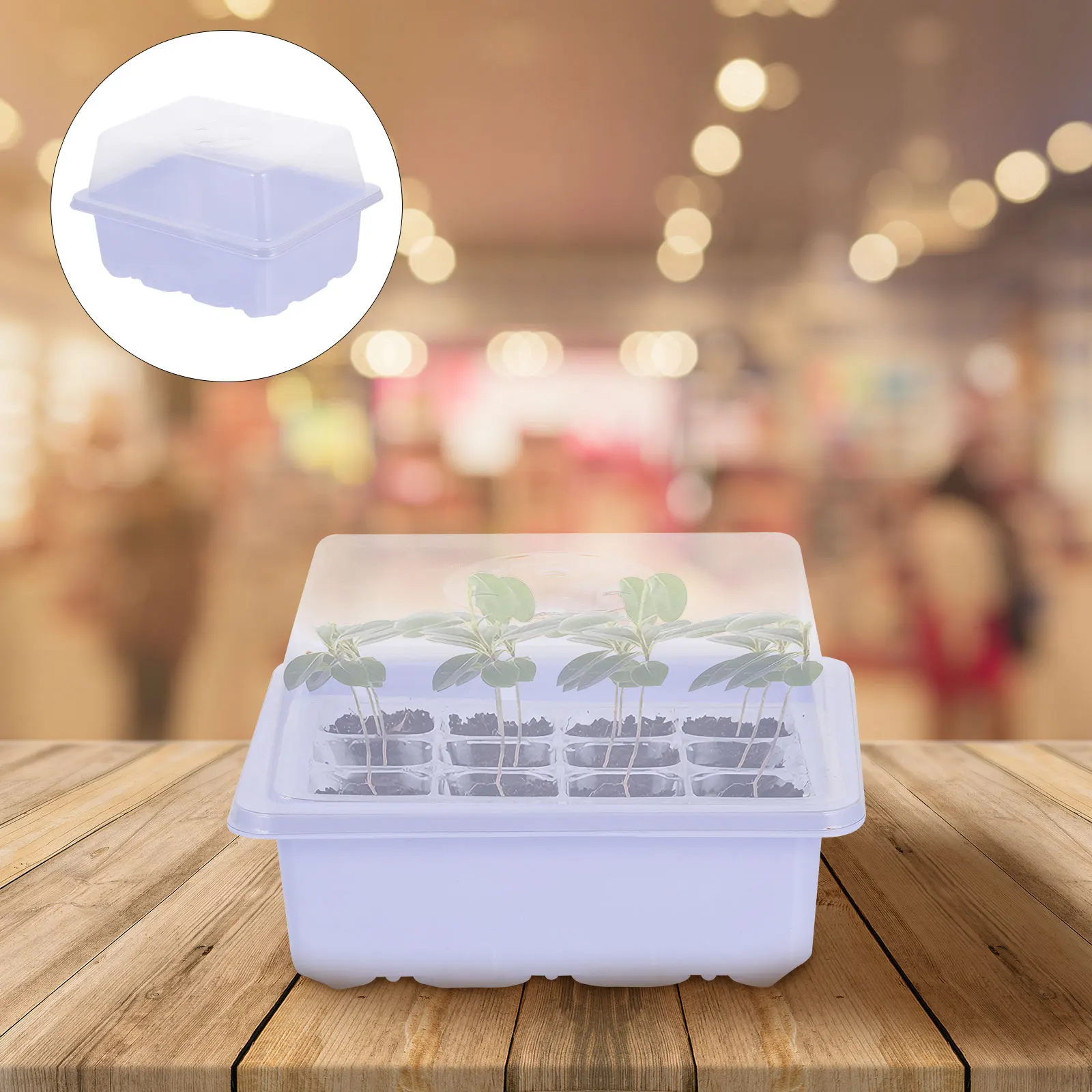 2 Sets Seedling Trays Germination Kit for Tomato Seeds Vegetable Plants Indoor Growing Starter Boxes Holes Transparent Lid
2 Sets Seedling Trays Germination Kit for Tomato Seeds Vegetable Plants Indoor Growing Starter Boxes Holes Transparent Lid