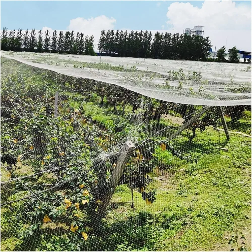 Nylon Anti Bird Netting for Farmland/Poultry/Pond - 1 inch Mesh Size, Reusable Garden Plant Cover Net, Prevents Tangles Netting
Nylon Anti Bird Netting for Farmland/Poultry/Pond - 1 inch Mesh Size, Reusable Garden Plant Cover Net, Prevents Tangles Netting