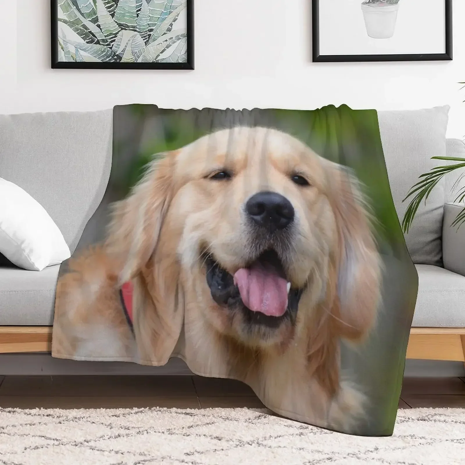 Golden Retriever Throw Blanket Soft Big Cute Blankets Sofas Of Decoration for sofa Blankets
Golden Retriever Throw Blanket Soft Big Cute Blankets Sofas Of Decoration for sofa Blankets