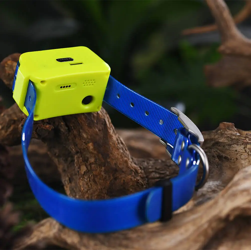 IK122M Pro Hound GPS Tracker, real-time tracking for dogs, IP67 waterproof dog GPS collar, comes with free APP
IK122M Pro Hound GPS Tracker, real-time tracking for dogs, IP67 waterproof dog GPS collar, comes with free APP