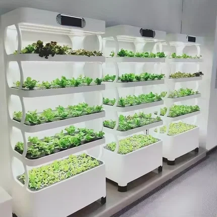 Mini Hydroponic Growing System Indoor Vegetable Planting Cabinet with LED Light Greenhouse
Mini Hydroponic Growing System Indoor Vegetable Planting Cabinet with LED Light Greenhouse