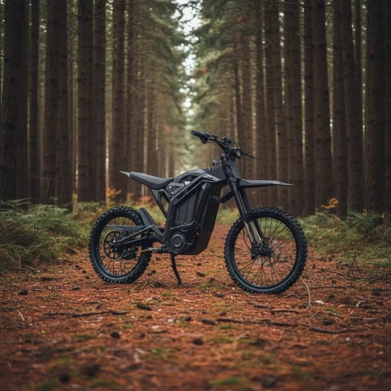 Electric off-road vehicle WR-6.0 off-road motorcycle 4000W brushless motor, lithium battery 80km/h steel frame, adult off-road m
Electric off-road vehicle WR-6.0 off-road motorcycle 4000W brushless motor, lithium battery 80km/h steel frame, adult off-road m