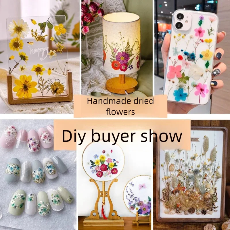Mixed Dried Flowers, Pressed Flowers, Resin Bookmark, Photo Frame, Real Flowers, Pressed Flowers, Parent-Child Handmade Plant Specimen Painting Material Kit
Mixed Dried Flowers, Pressed Flowers, Resin Bookmark, Photo Frame, Real Flowers, Pressed Flowers, Parent-Child Handmade Plant Specimen Painting Material Kit