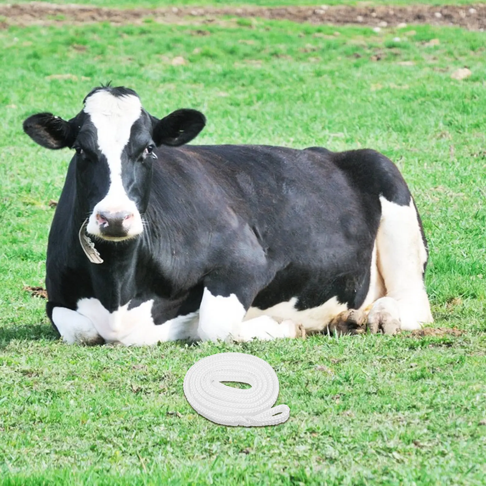 Cow Obstetric Rope Chinlon Livestock Delivery Cord for Cattle Horses Farm Daily Work Quick Calf Extraction Safe Birthing Tool
Cow Obstetric Rope Chinlon Livestock Delivery Cord for Cattle Horses Farm Daily Work Quick Calf Extraction Safe Birthing Tool