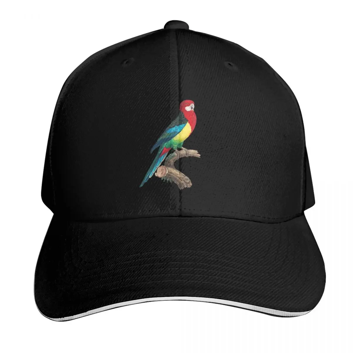 Eastern Rosella Baseball Cap Ball Cap hats on offer New In The Hat Men's Women's
Eastern Rosella Baseball Cap Ball Cap hats on offer New In The Hat Men's Women's